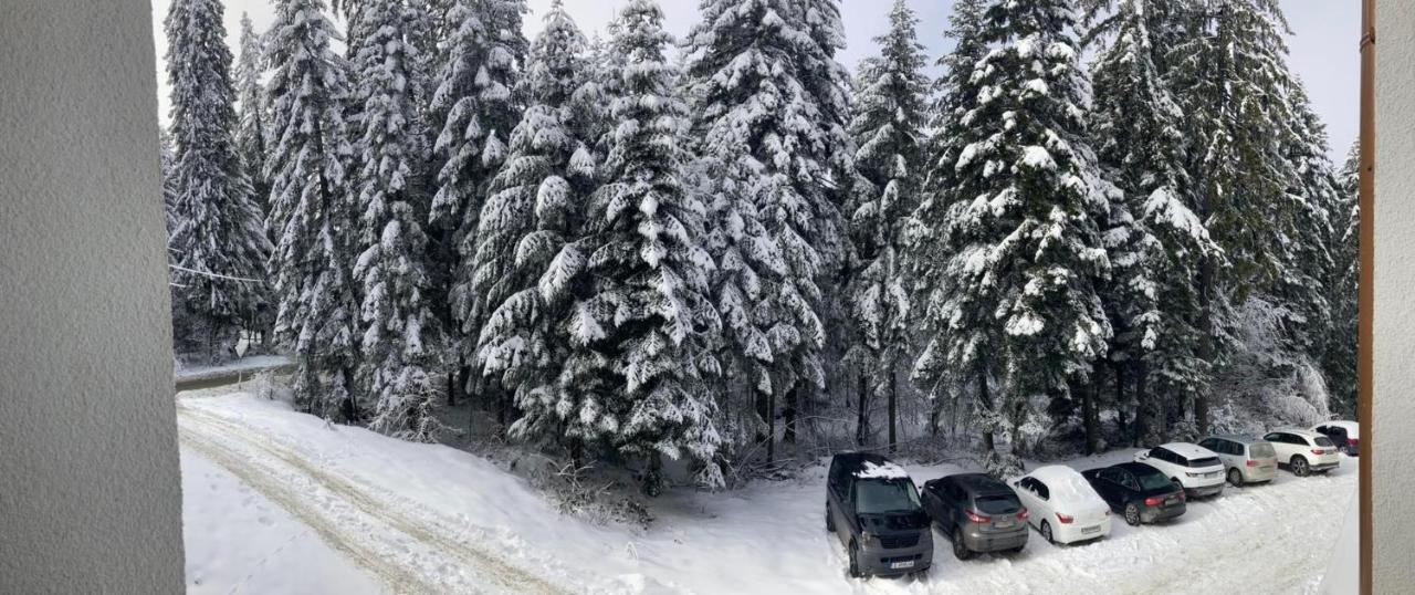 Borovets Gardens Apartment A20 Dış mekan fotoğraf